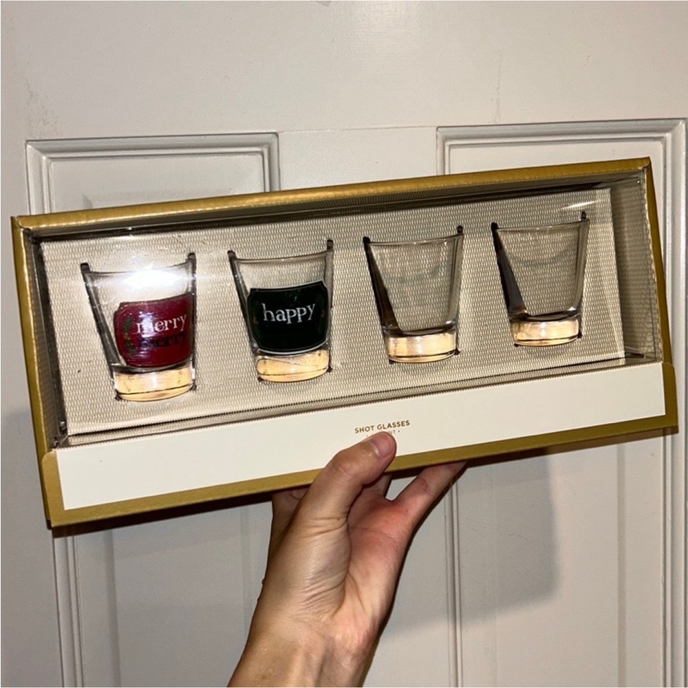 Shot glasses 4 pieces gift set for Christmas